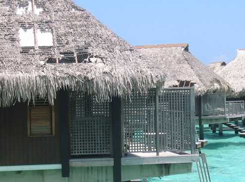 Disadvantages of natural thatch roofing
